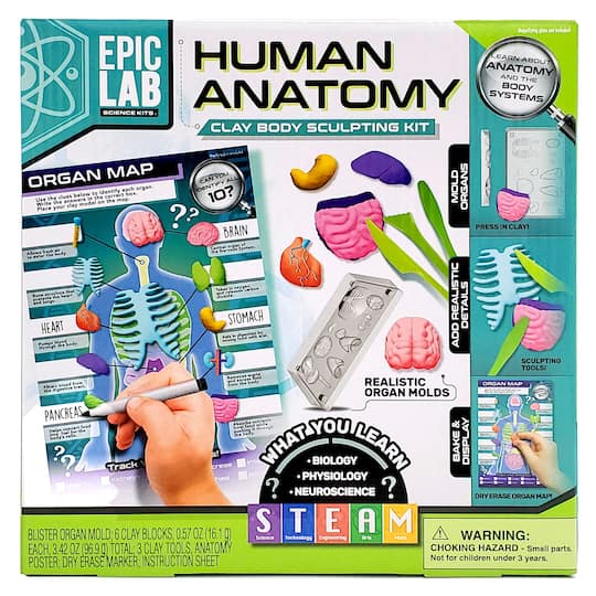 ArtSkills&#xAE; Epic Lab Human Anatomy STEM Kit